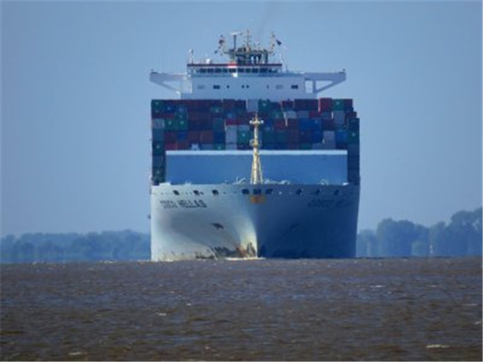 上海浦東專業(yè)報關代理公司.png